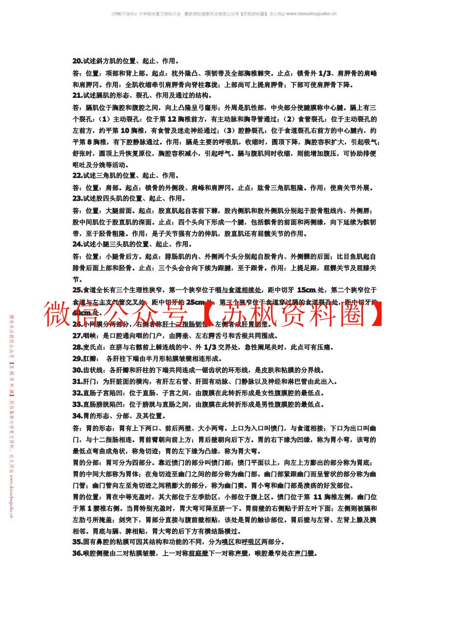 人体形态与结构